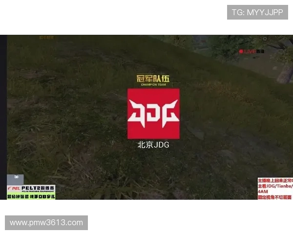 和平精英赛事分析：JDG战队荣登第五名背后的成功秘诀揭秘
