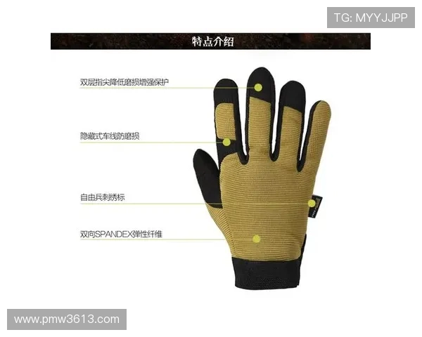 广州攀岩队的控制打法深度分析与战术解读