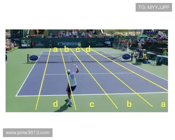 杭州网球队力量表现的深度数据分析与趋势探讨